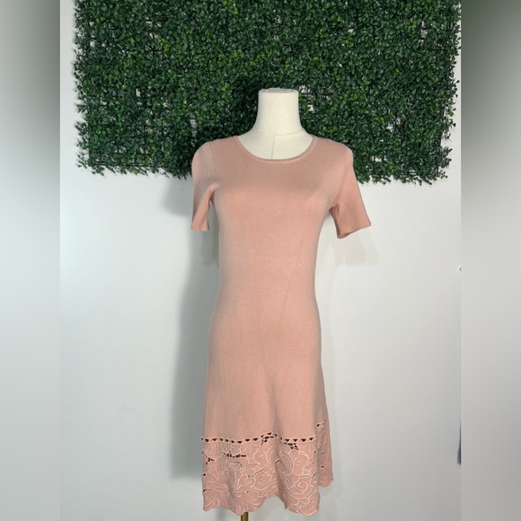 Ann Taylor Knit Dusty Pink Embroidered Floral Hem Midi Dress Size Extra Small - Picture 1 of 9